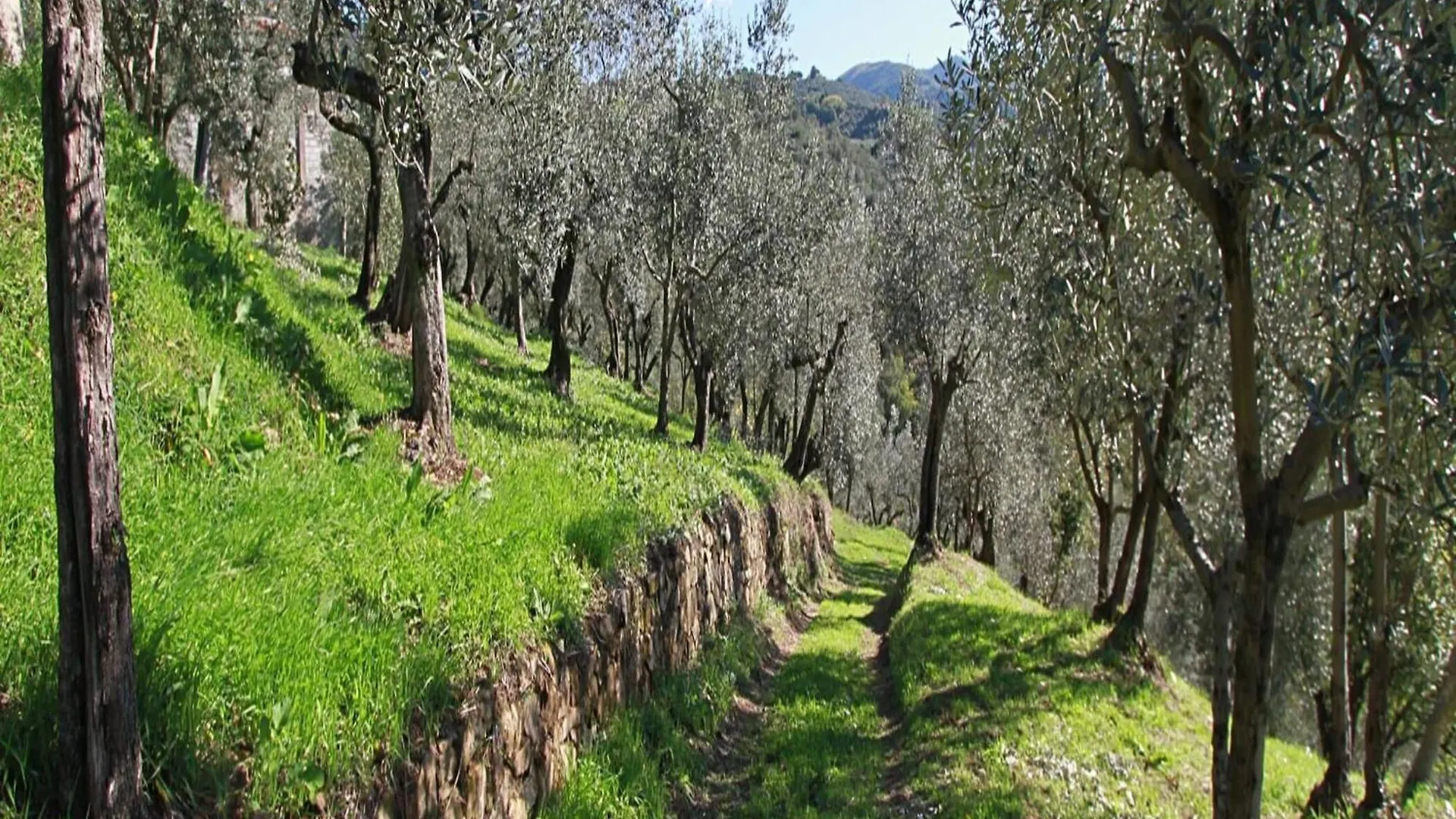 Agriturismo Giugnano Poggio del Sole, Lamporecchio Appartamento